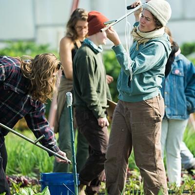 Three people doing farm research