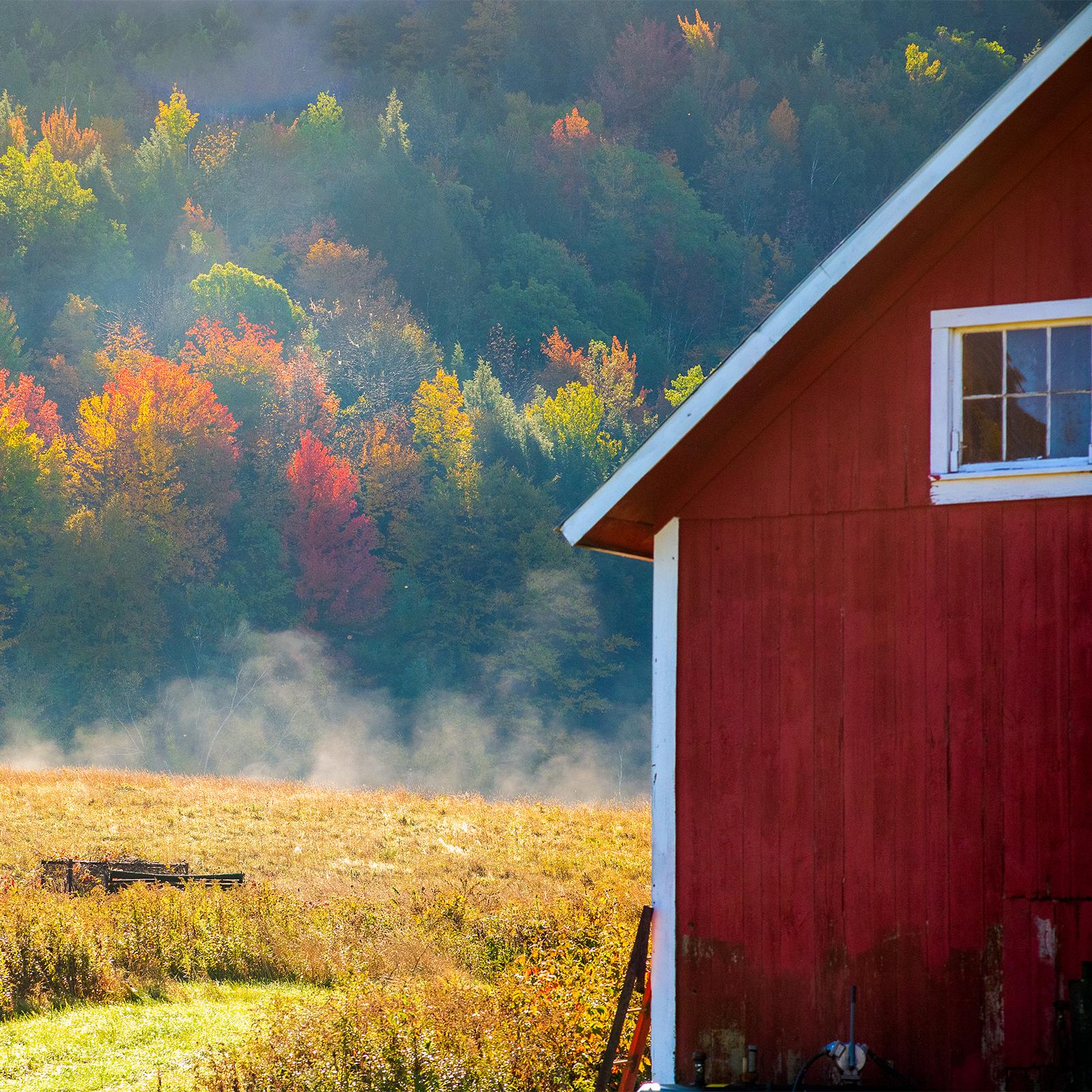 A rural farm building with trees