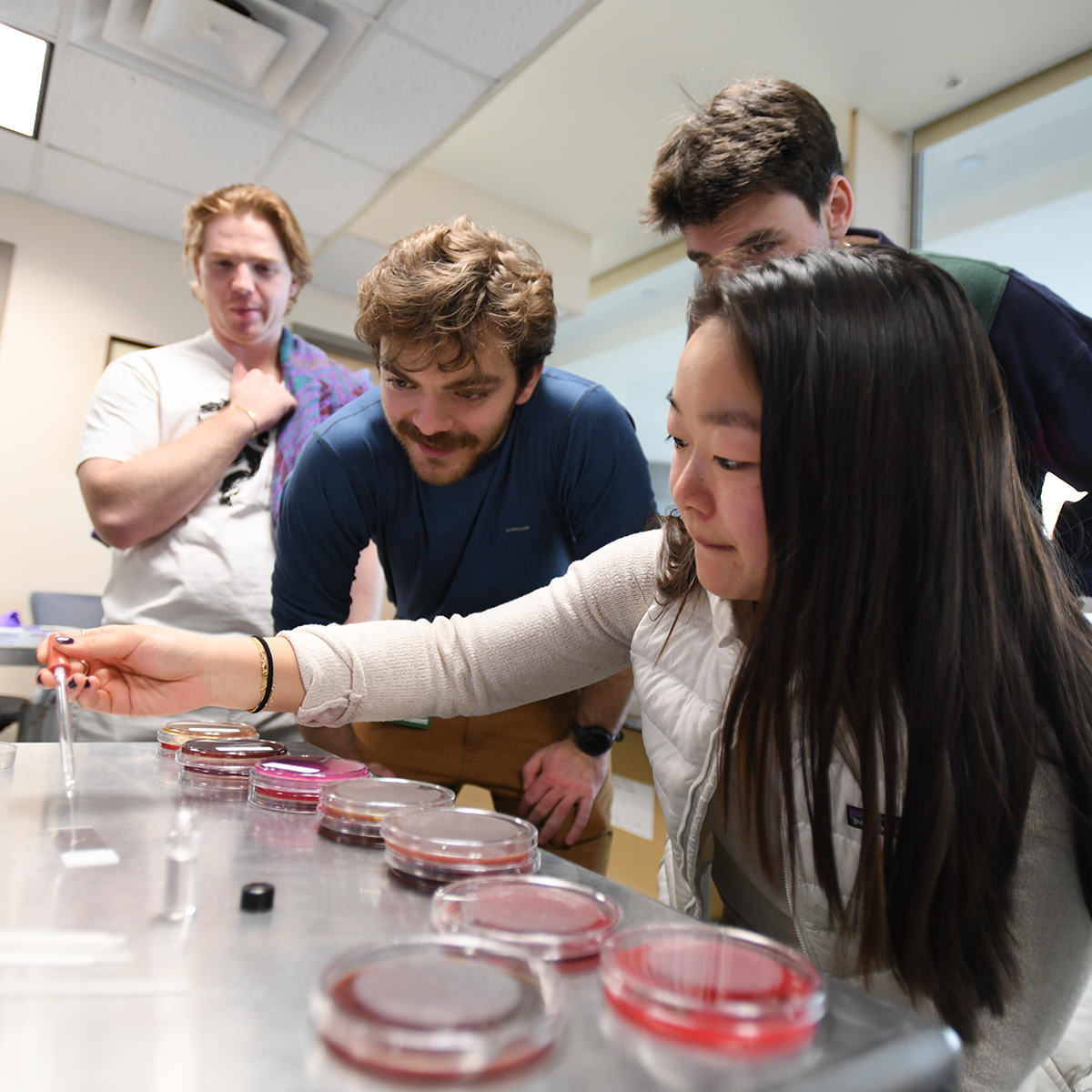 Student researches review petrie dish results in the lab