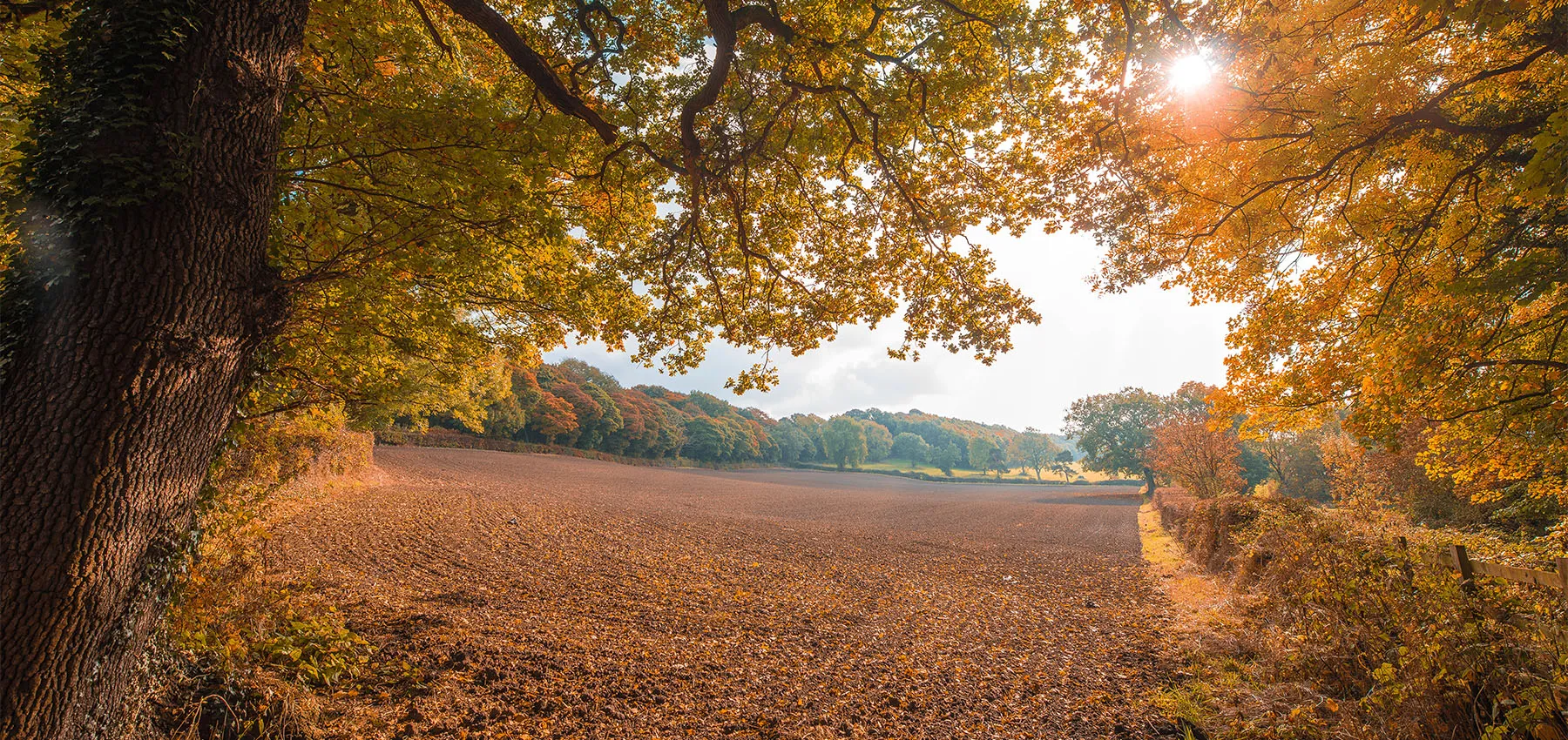 Autumn Sunset Over Farm
