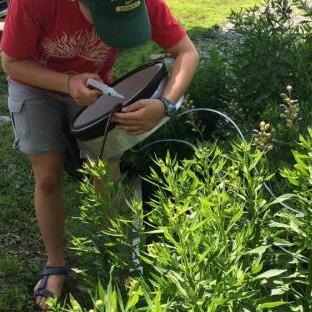 Person tending a garden