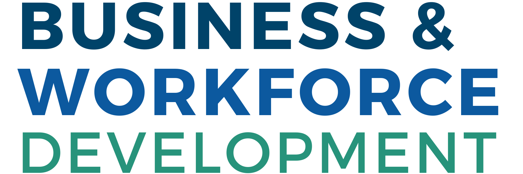 BWD Logo