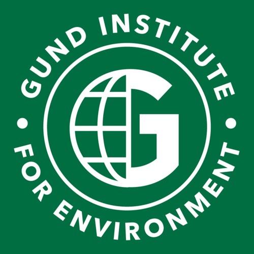 Gund Institute logo