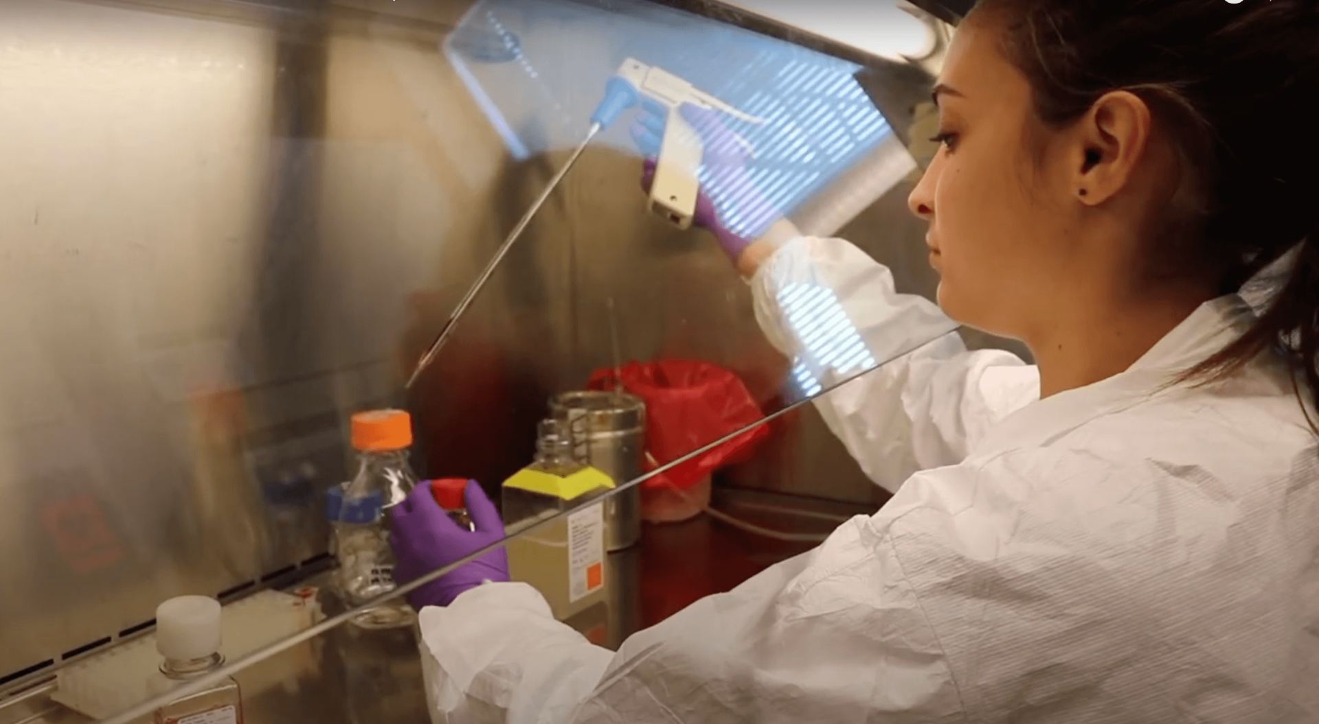 undergraduate doing cells research in a DNA lab