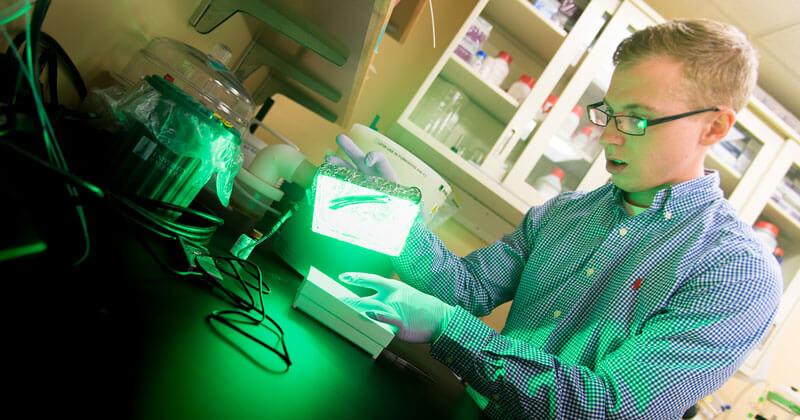 A CEMS student works in a biomedical lab