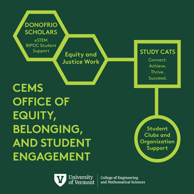 CEMS Office of Equity, Belonging, and Student Engagement structure diagram
