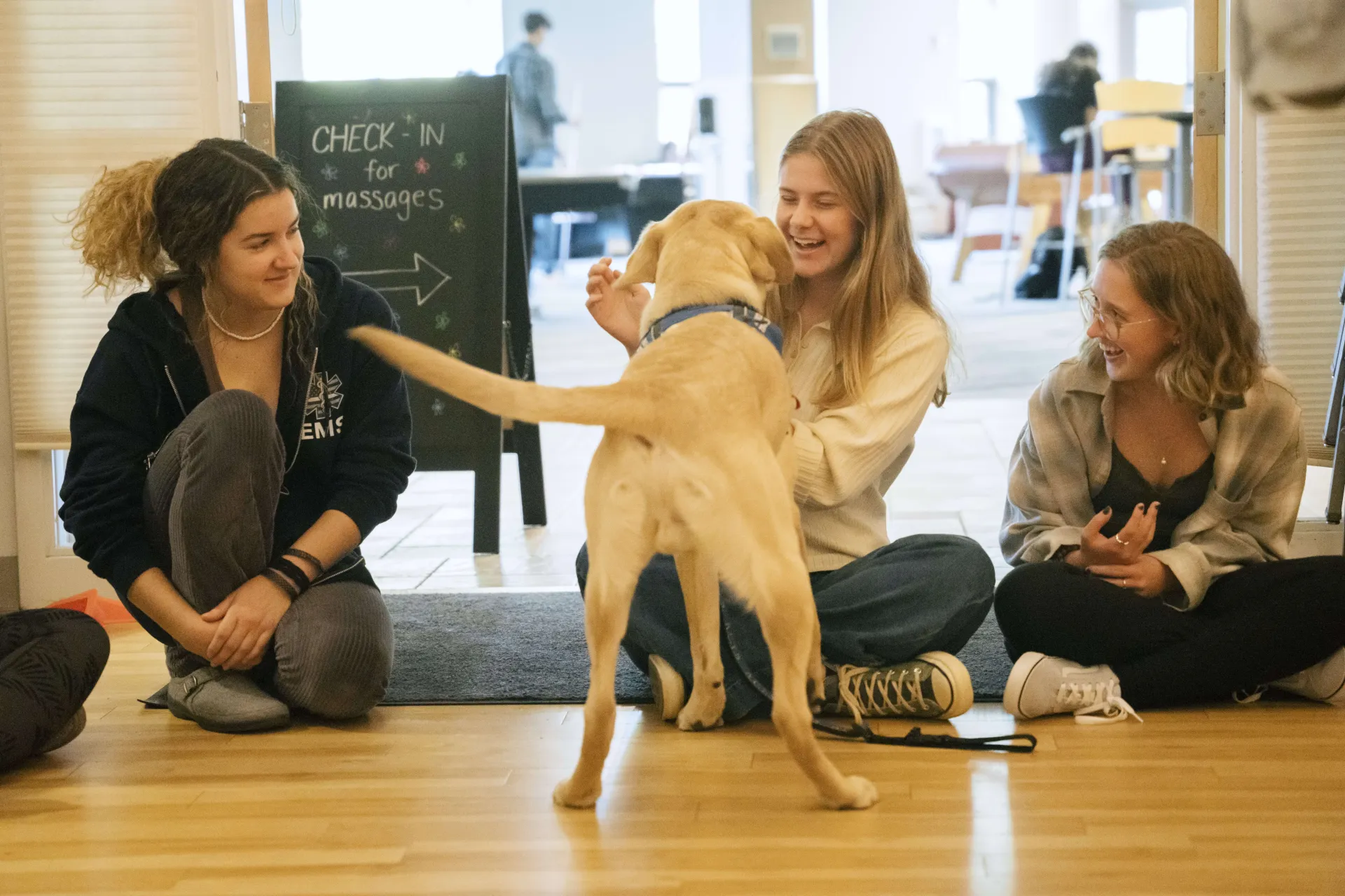 three happy students greet a yellow lab with a wagging tail. 