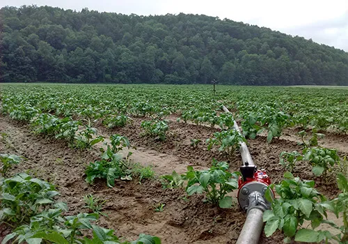 Water use efficiency