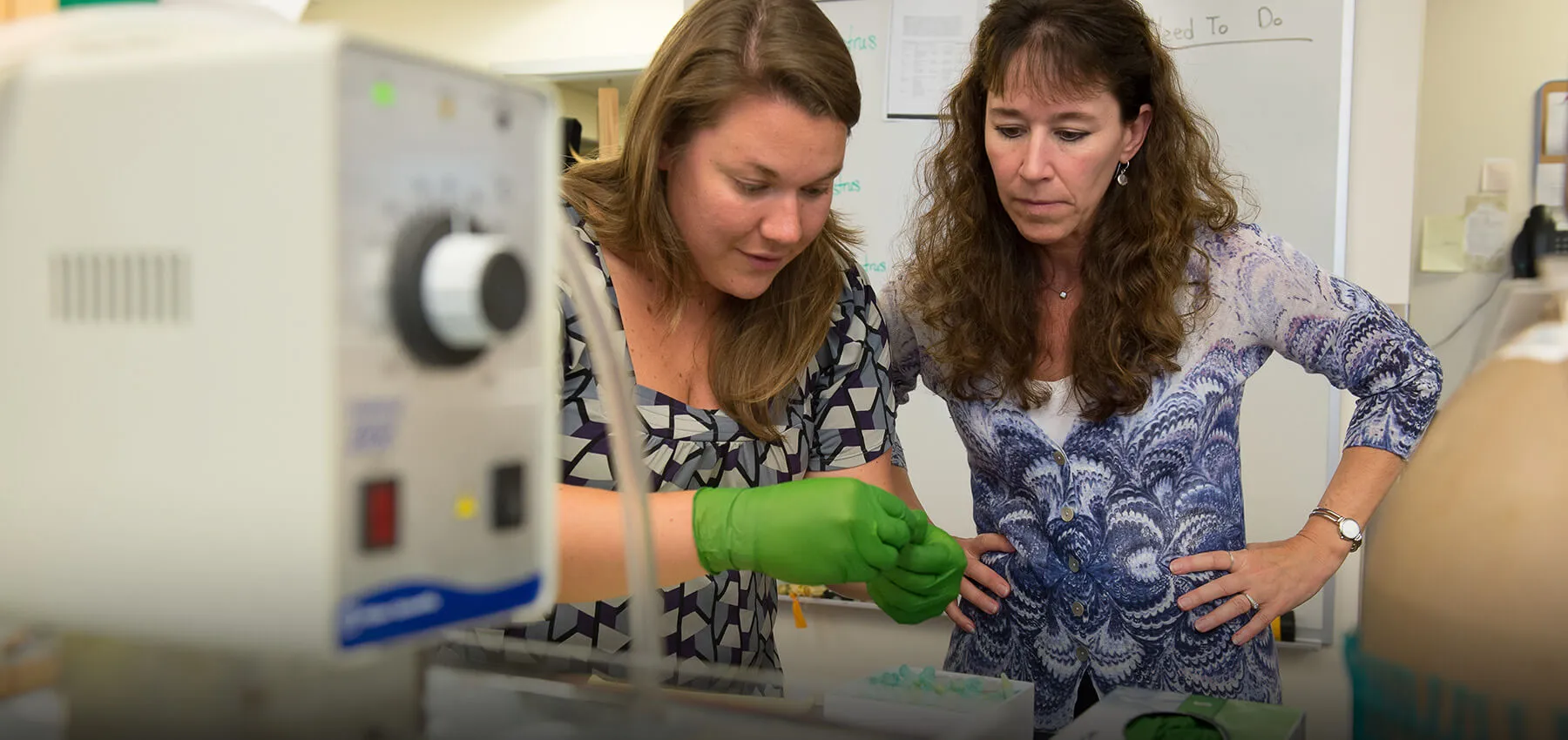 EBE Department chair Marilyn Cipolla trains a student in her laboratory