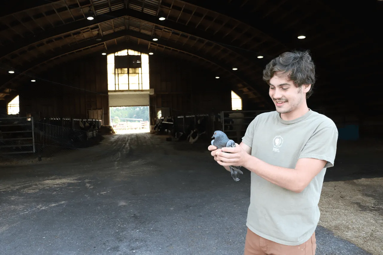 Student holds a pigeon that he is researching