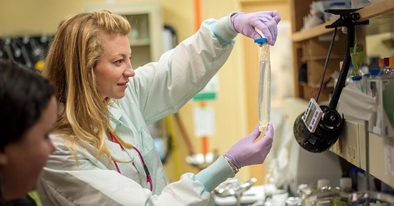 Research work in biomaterials