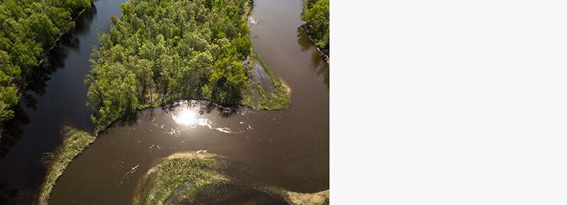 Aerial view of a river