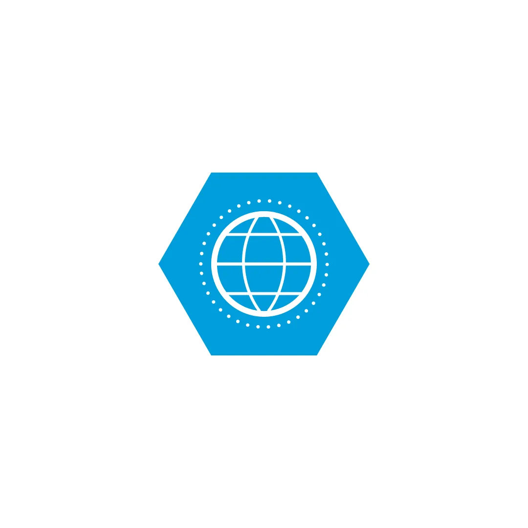 a blue hexagon with a circle in the middle in white, showing latitude and longitude lines