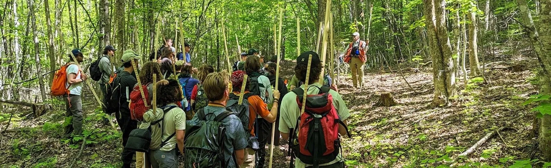 A group of students in a forest wearing backpacks listening to an instructor. All of the students have yard sticks in their backpacks.