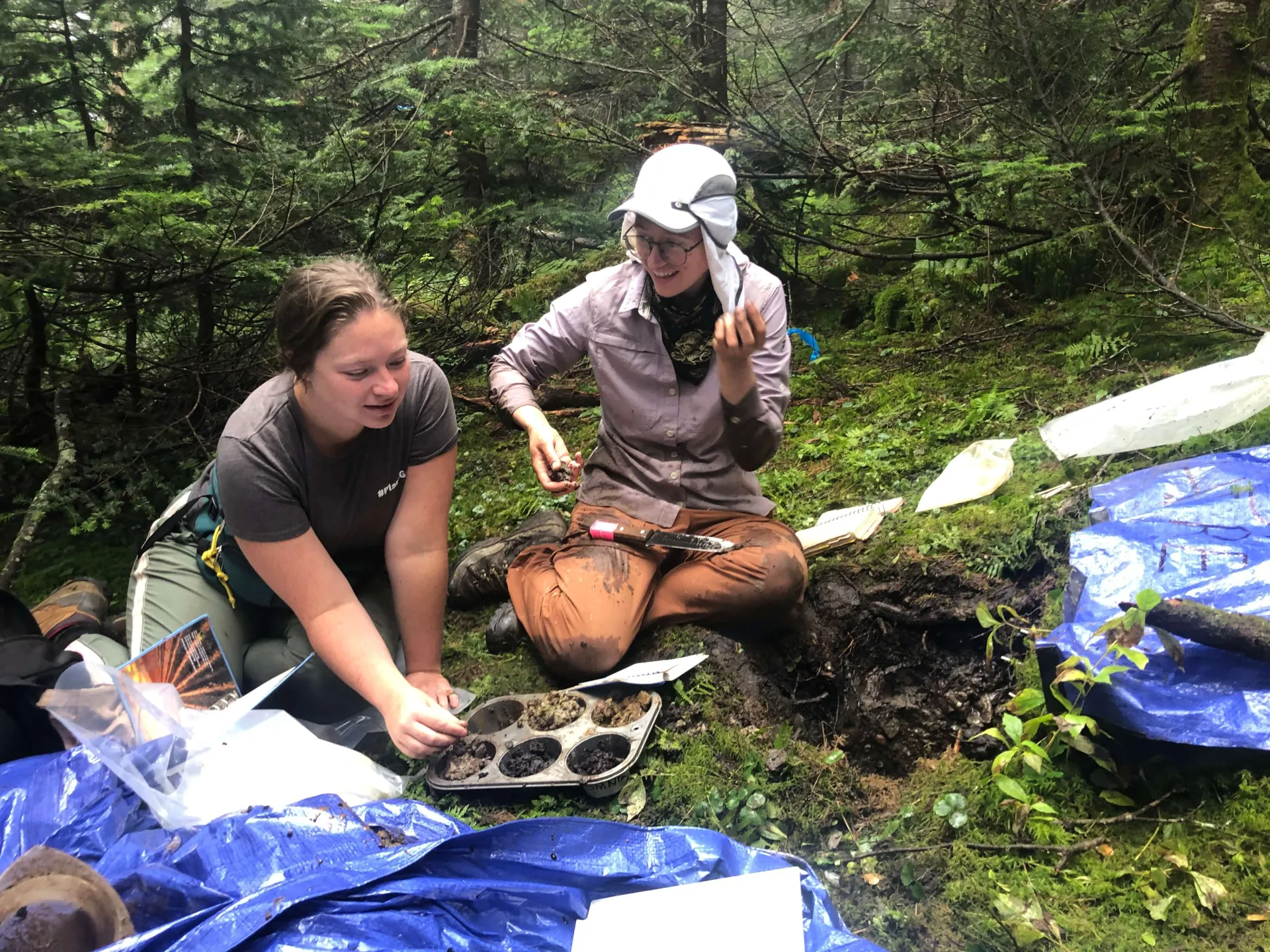 UVM Field Research