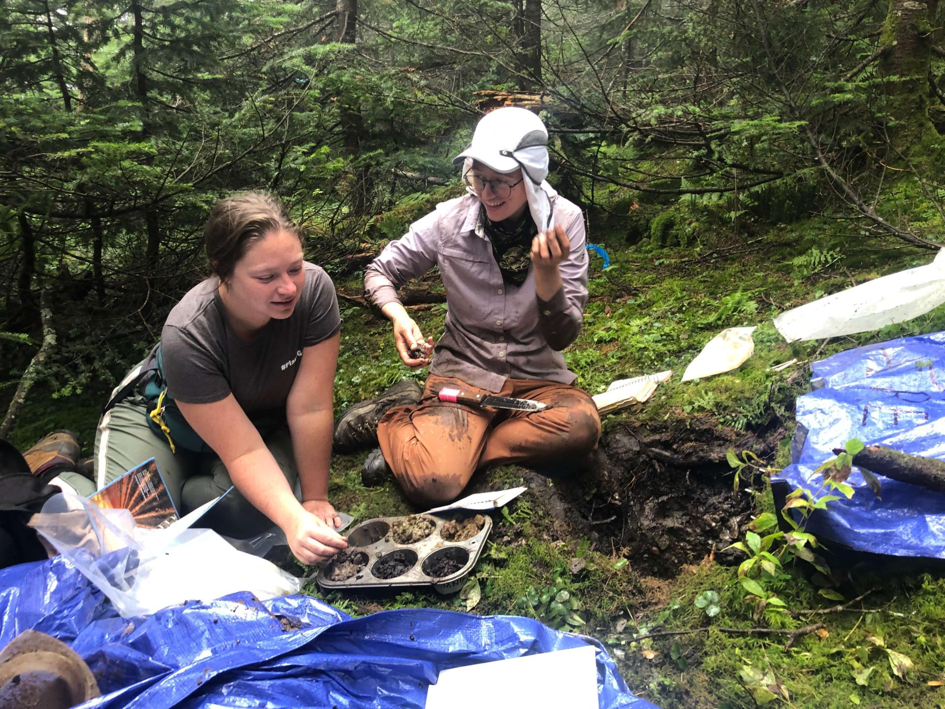 UVM Field Research