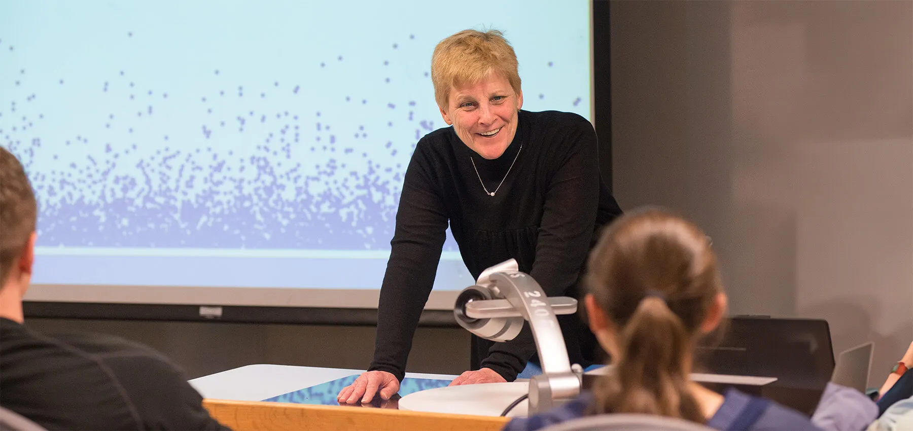 Math and Stats Professor Joan Rosi Rosebush
