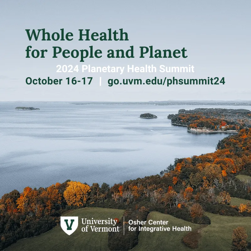 image of lake champlain from the shore