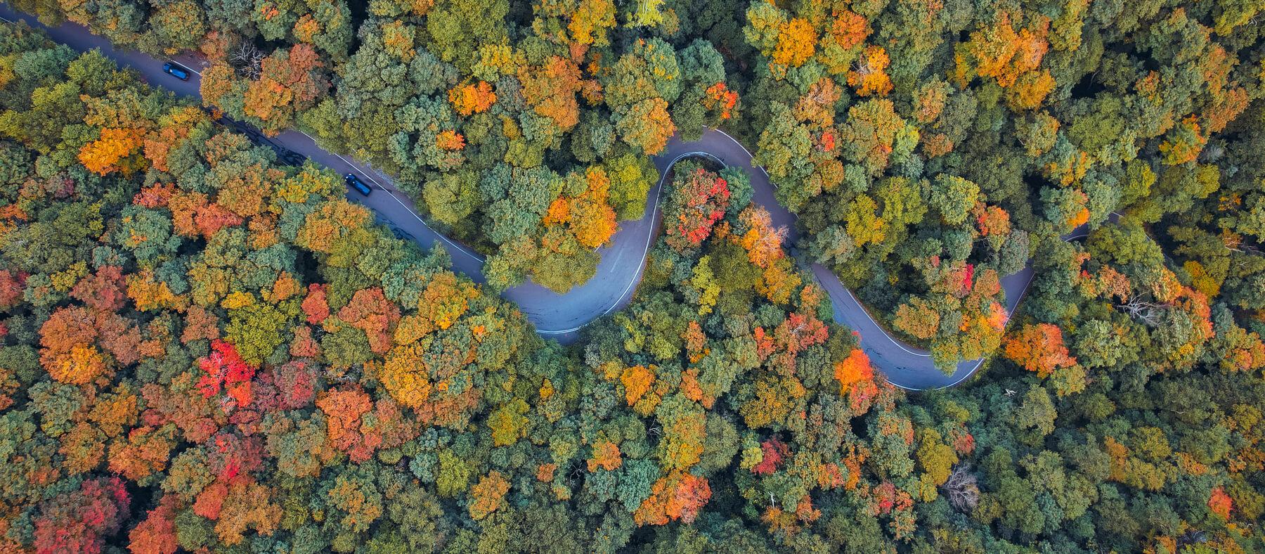 A drone photo of Vermont foliage in the early fall