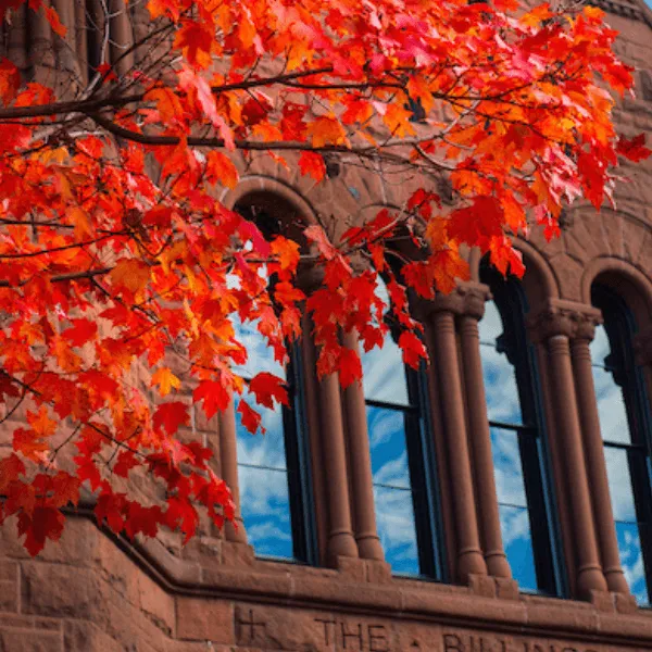 Bright red fall leaves against a red brick building