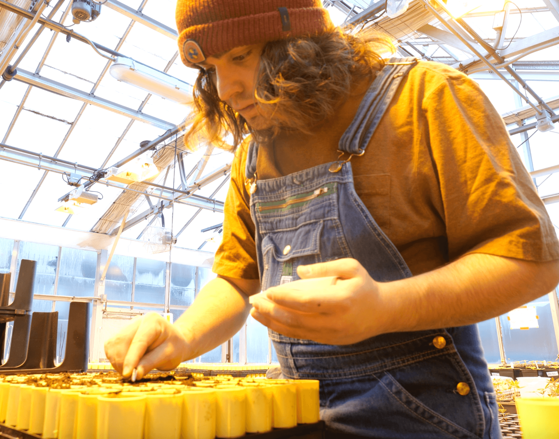 Student doing planting in the Greenhouse