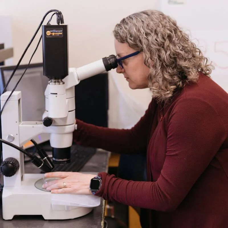 Ebert teaching a Zebrafish Lab in Biology class in the College of Agricultural and Life Sciences at UVM.