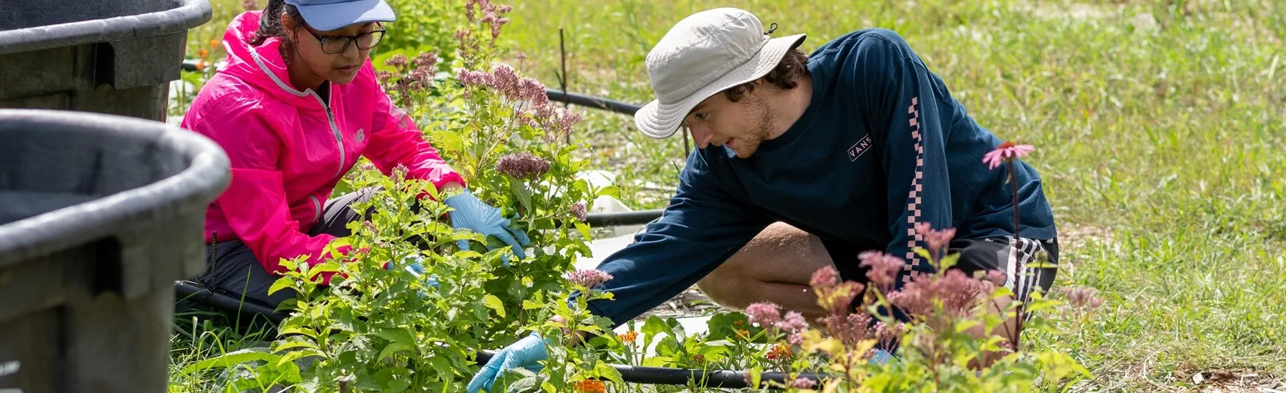 Two students working outside in a garden bed doing research on rain water