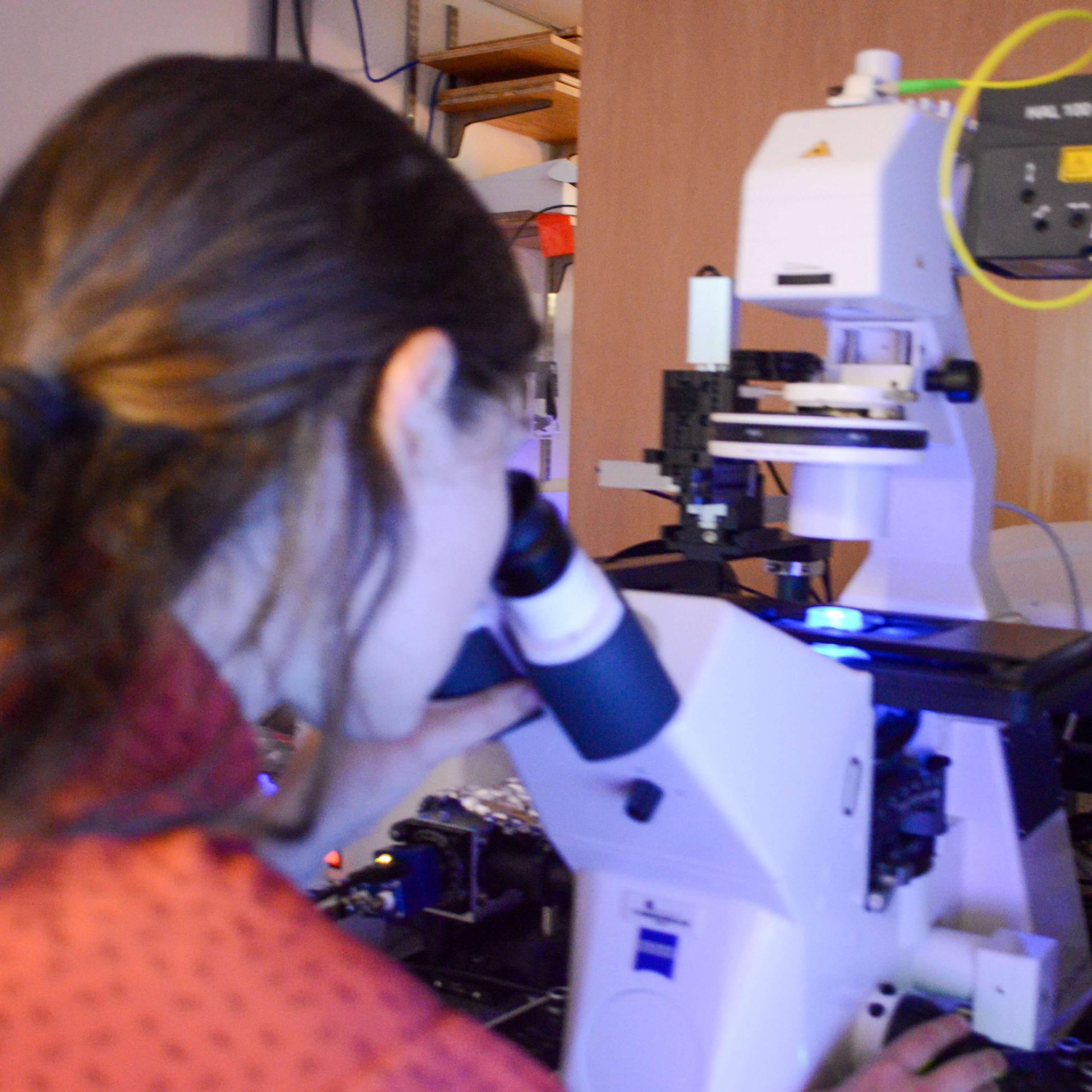 A femme presenting student analyzing samples under a microscope.