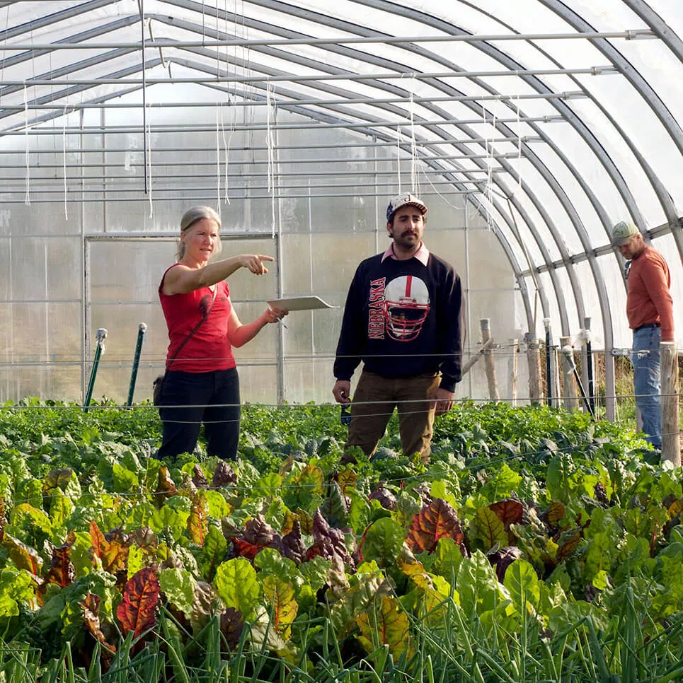 green house farmer training