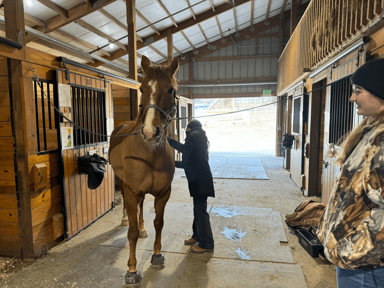 Woman grooming horse in barn with another woman watching