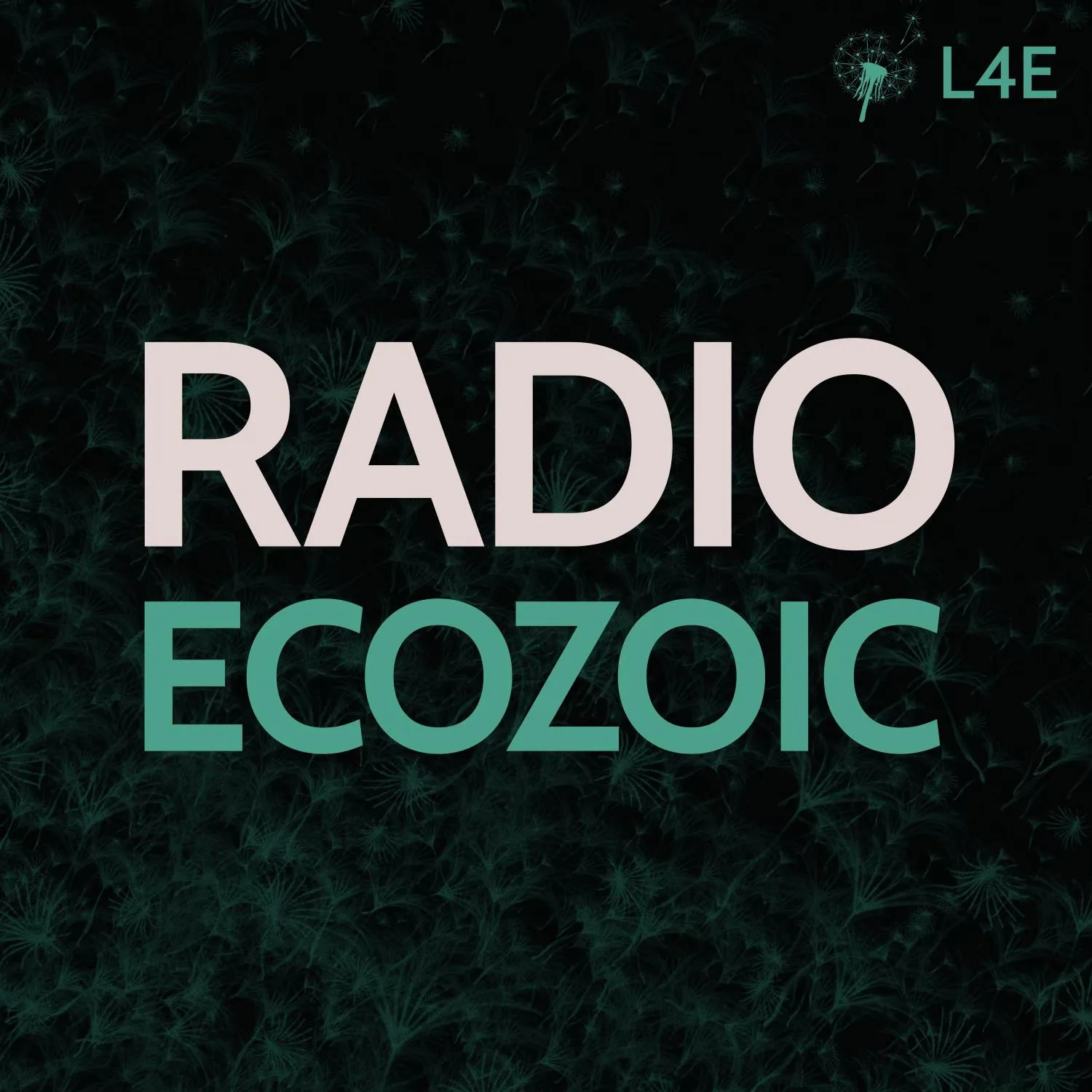 Radio Ecozoic Icon