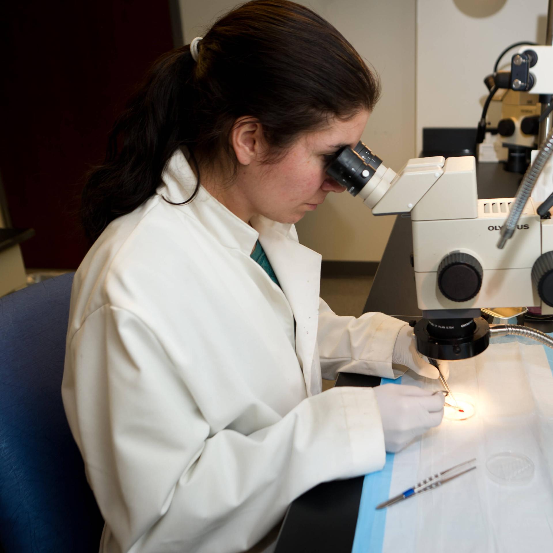 A researcher performing sample procedures through a microscope.