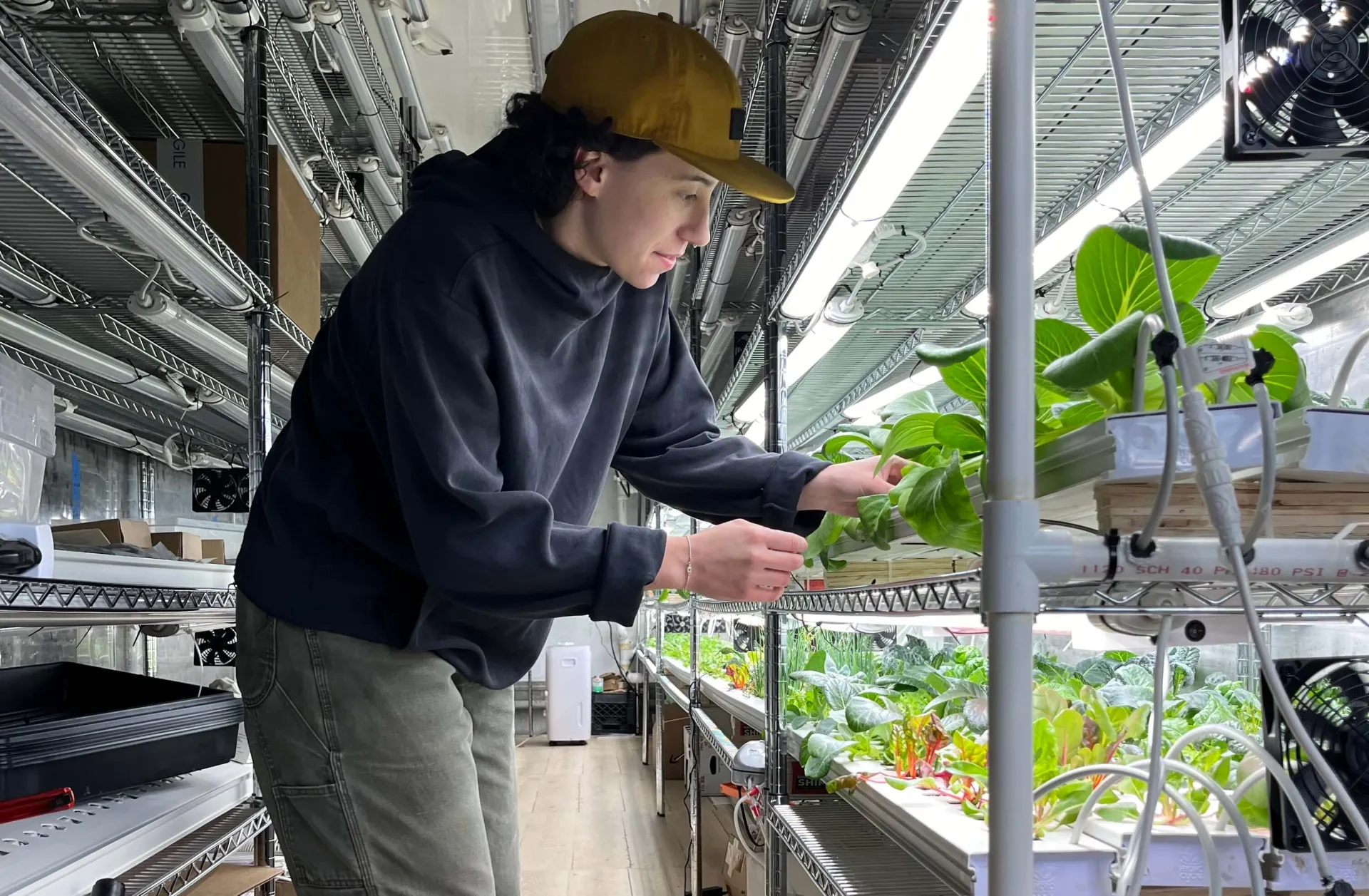 Jillian Bluestein in Village Hydroponics 