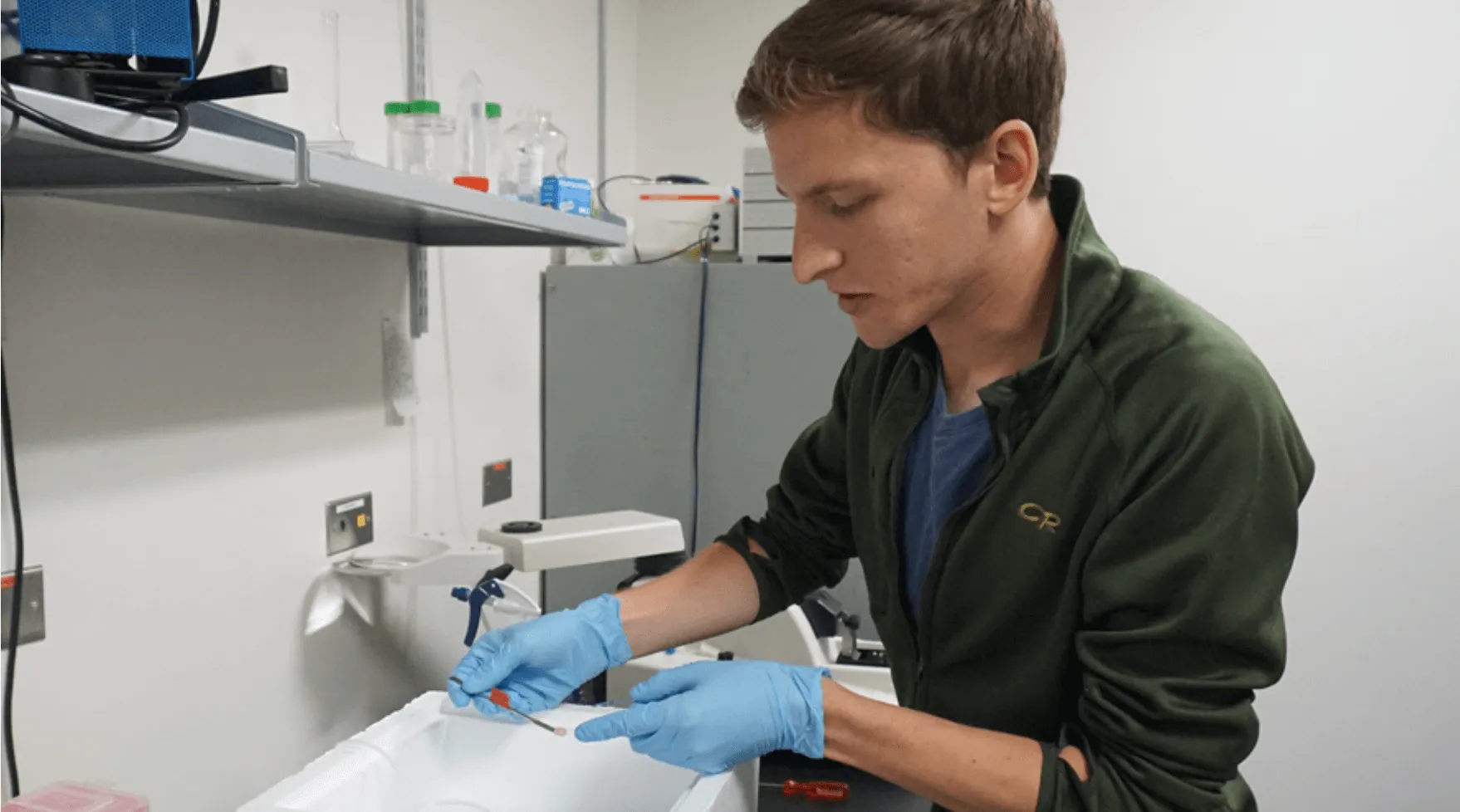 Lab worker doing research