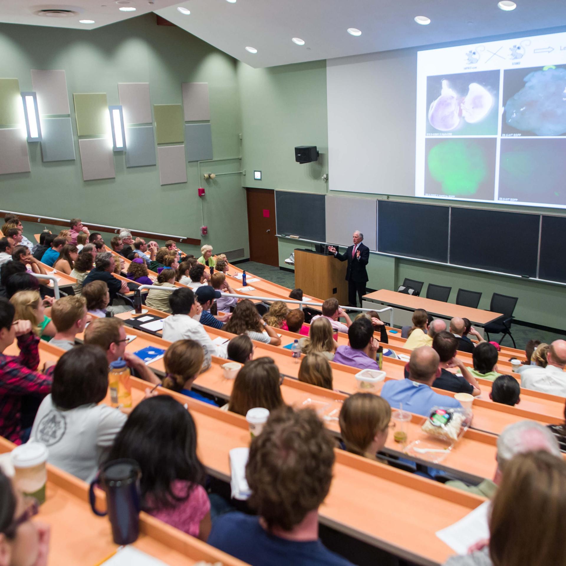 A professor giving a lecture to a large group of students.