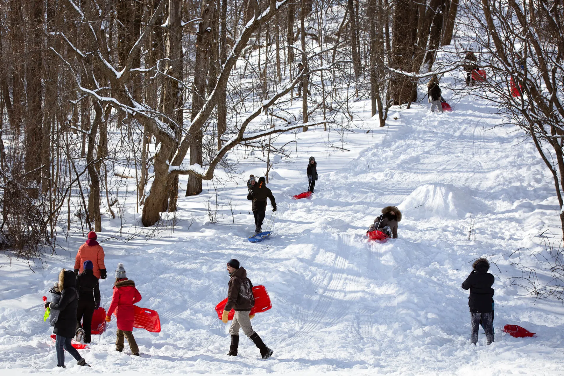 People sledding down a hill in Schmanska Park.