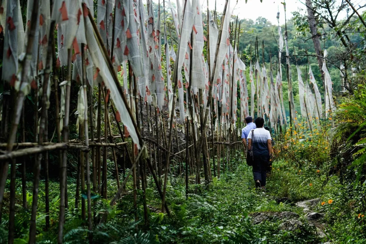 People walking in field in Sikkim, India