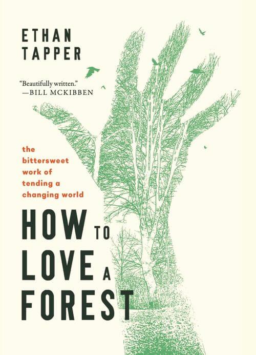 Book cover of how to love a forest