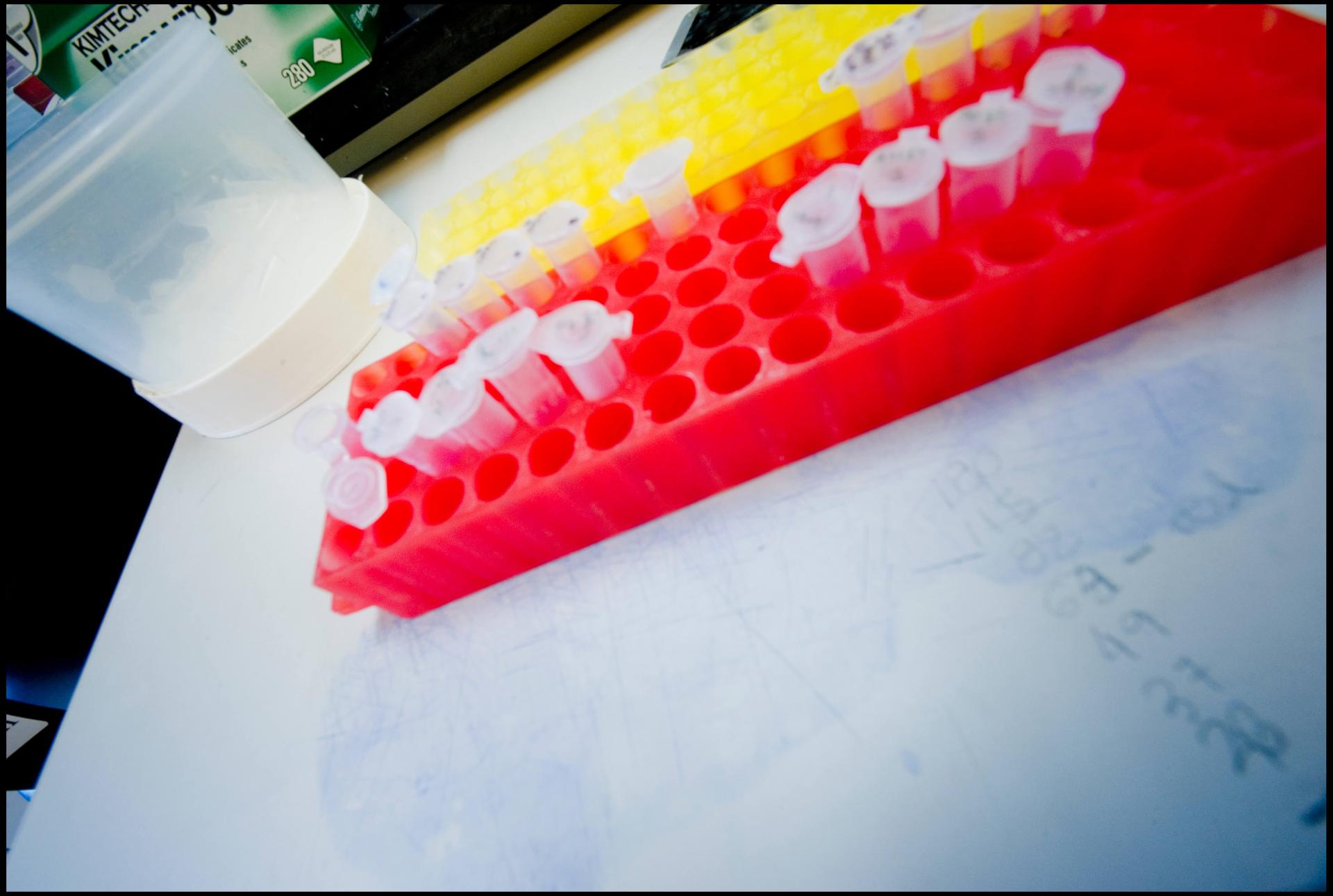 test tubes