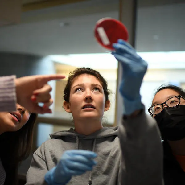 A person looks at a scientific sample