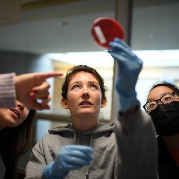 A person looks at a scientific sample