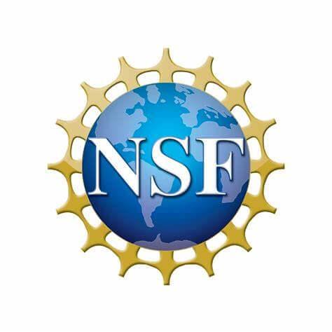 NSF Symbol