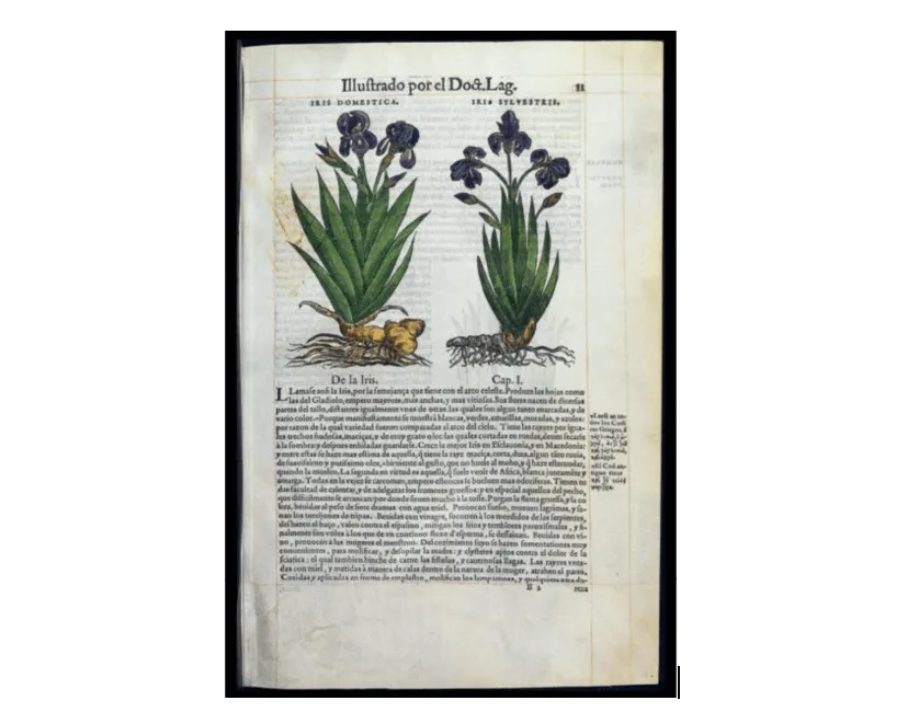 Ethnobotany Books Pages