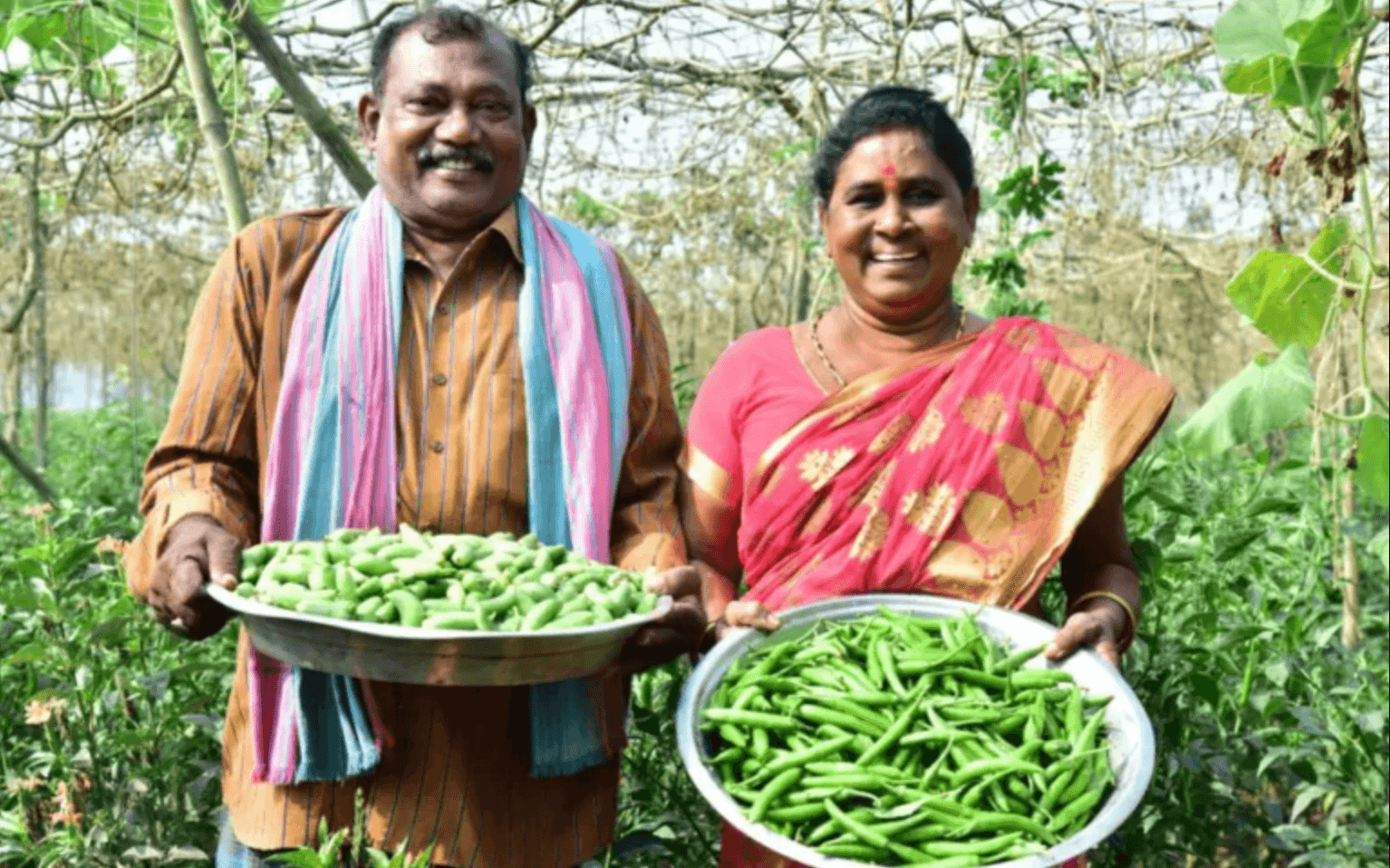 Studying the true costs and benefits of natural farming