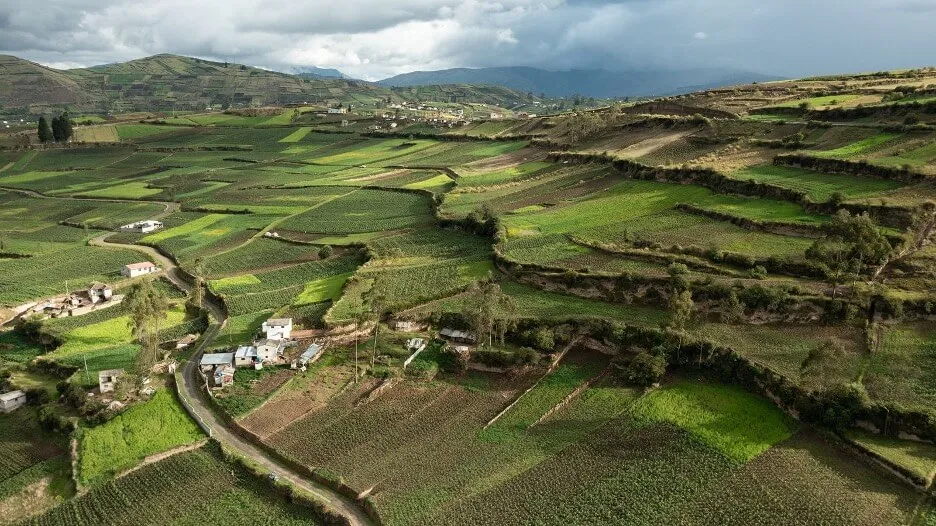 Caliata terraces