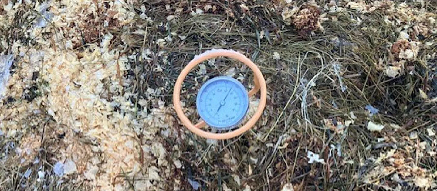 a compost thermometer in a compost heap