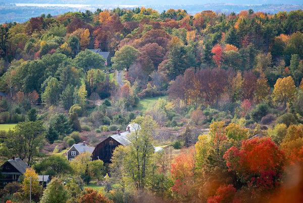 fall-forest-at-Raven-Ridge.Charlotte