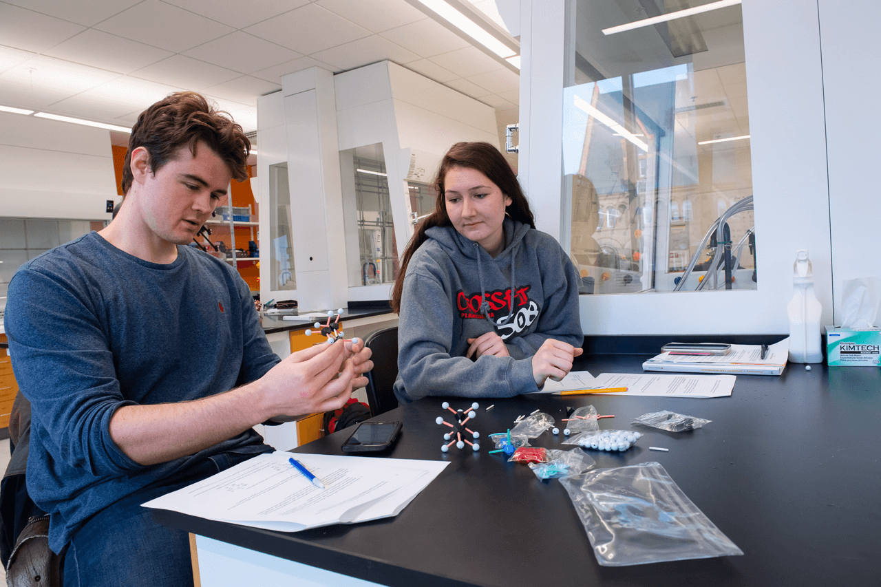 Students studying in organic chemistry