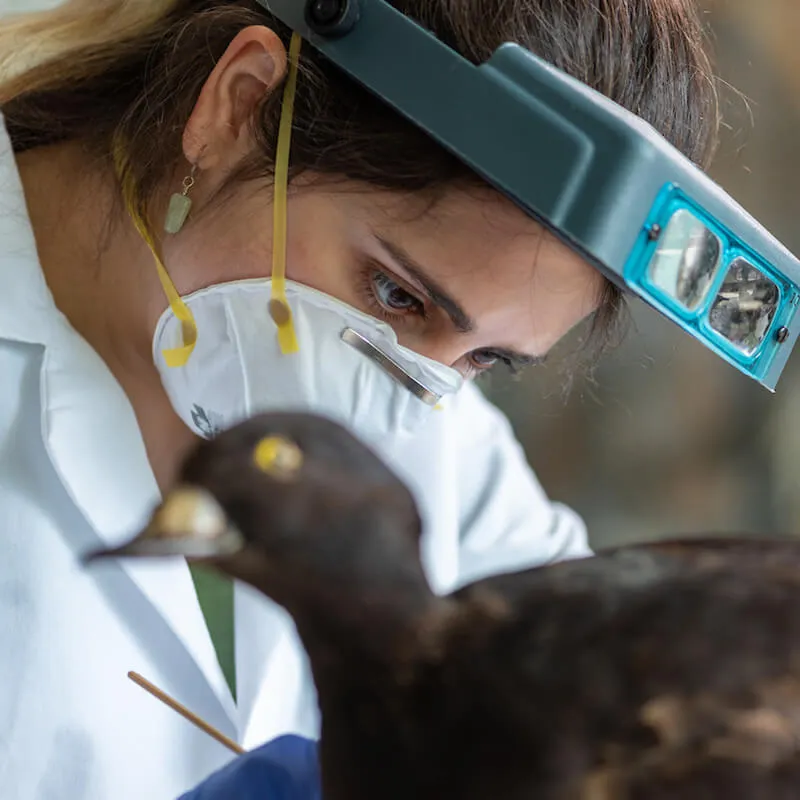 A woman in a white coat doing a research in a lab