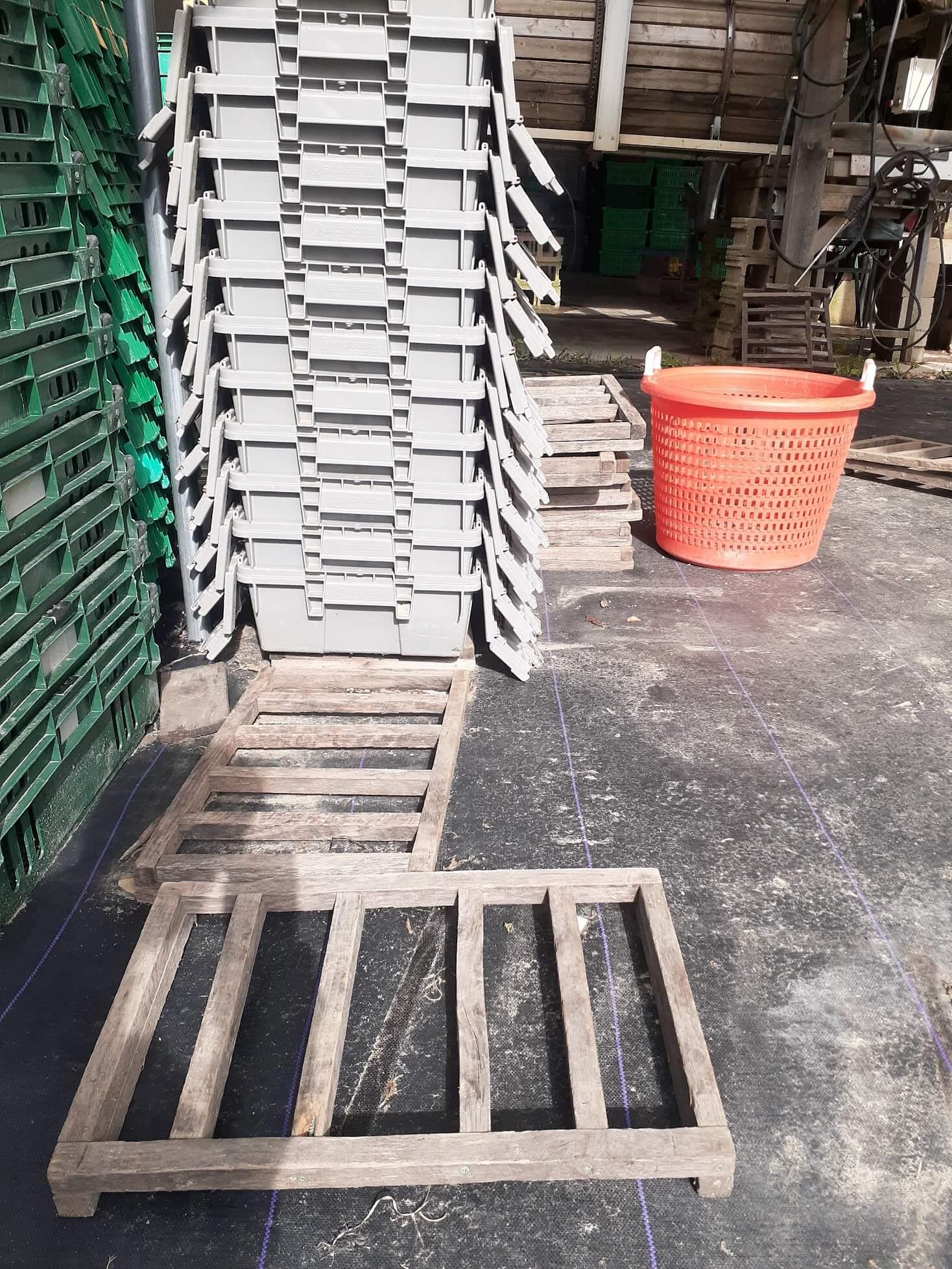 stacked plastic bins and wooden pallets